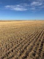 on RR 224  Barons, AB T0L 0G0