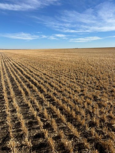 On Rr 224, Barons, AB 