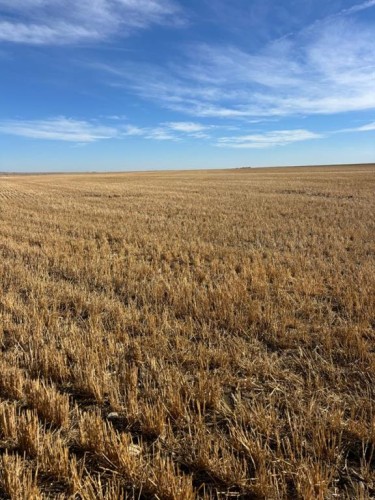 On Rr 224, Barons, AB 