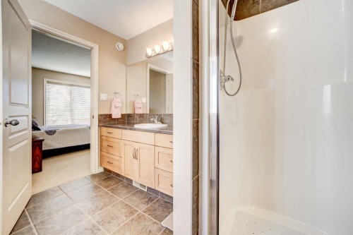 2806 35 Avenue South, Lethbridge, AB - Indoor Photo Showing Bathroom