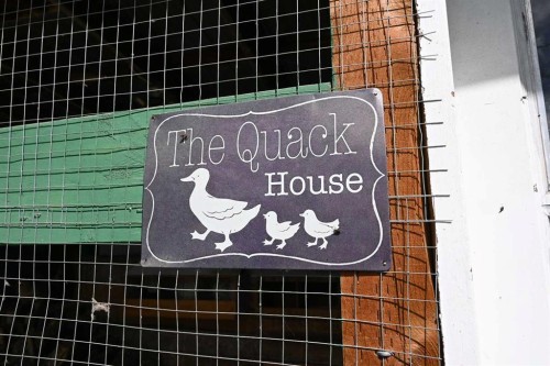 7404 Rge Rd 3-0, Rural Pincher Creek No. 9, M.D. Of, AB - Indoor