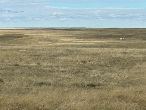 0N Highway 886 West, Cereal, AB 