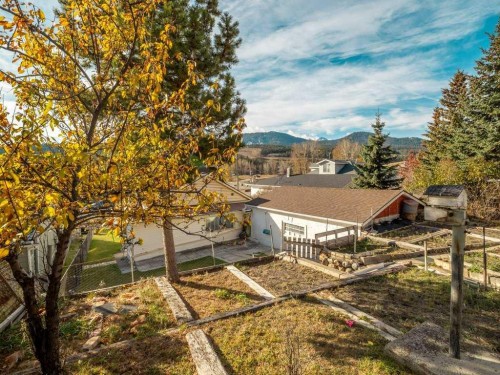 8109 16 Avenue, Coleman, AB - Outdoor With View