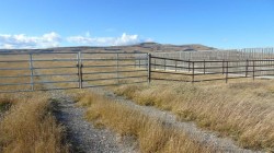 272134-N/A Rural  Fort Macleod, AB T0L 0Z0