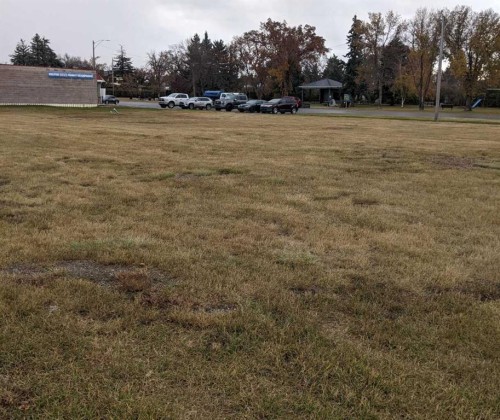 209 King Street, Nobleford, AB 