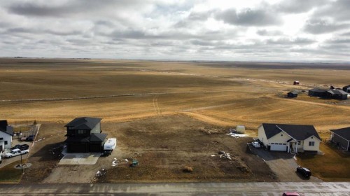 61 Pebble Creek Cove, Raymond, AB 
