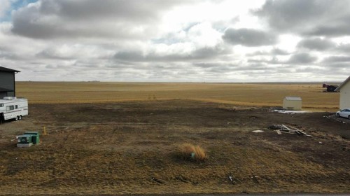 61 Pebble Creek Cove, Raymond, AB 