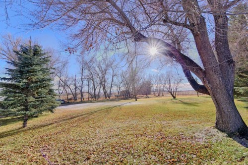 11225 Range Road 72, Rural Cypress County, AB - Outdoor With View