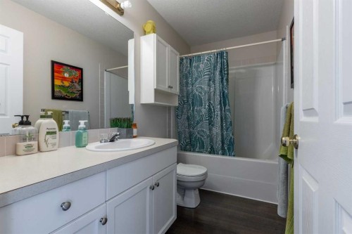 188 Cougar Way North, Lethbridge, AB - Indoor Photo Showing Bathroom