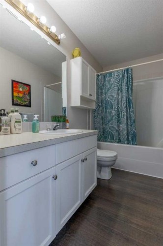 188 Cougar Way North, Lethbridge, AB - Indoor Photo Showing Bathroom