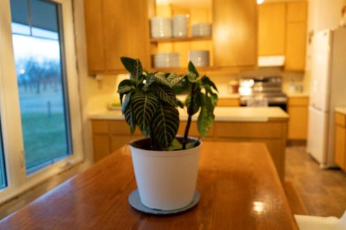 230 E 100 S Street, Raymond, AB - Indoor Photo Showing Other Room