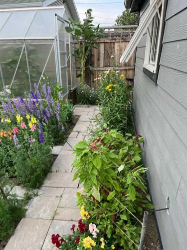 248 Crescent Avenue North, Picture Butte, AB - Outdoor