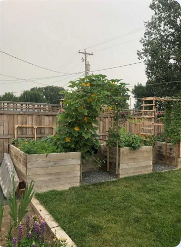 248 Crescent Avenue North, Picture Butte, AB - Outdoor