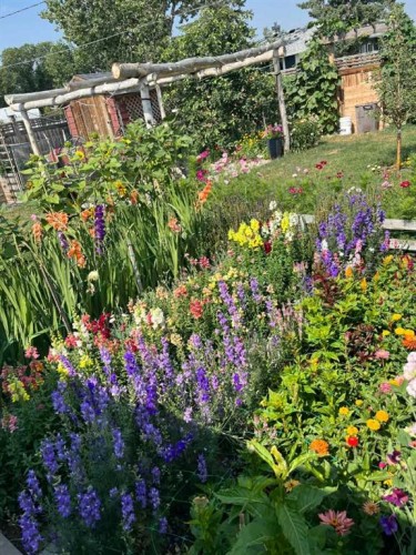 248 Crescent Avenue North, Picture Butte, AB - Outdoor