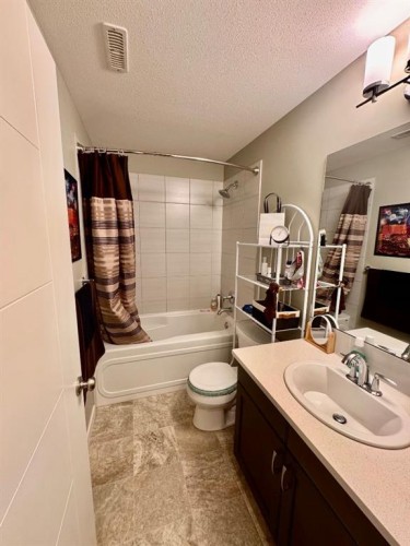 266 Lynx Road North, Lethbridge, AB - Indoor Photo Showing Bathroom