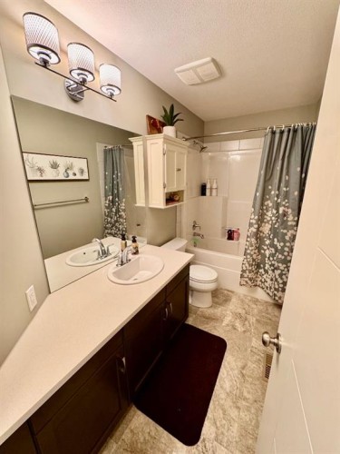266 Lynx Road North, Lethbridge, AB - Indoor Photo Showing Bathroom