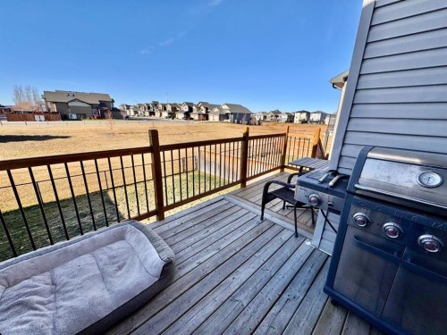 266 Lynx Road North, Lethbridge, AB - Outdoor With Exterior