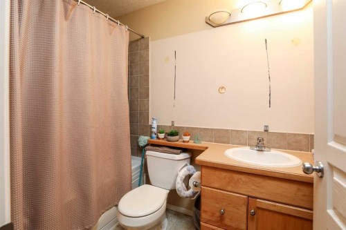 52 Lynx Road North, Lethbridge, AB - Indoor Photo Showing Bathroom