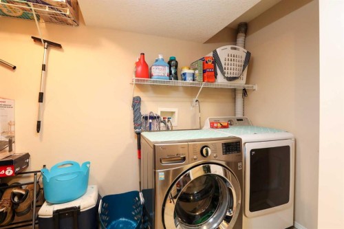 52 Lynx Road North, Lethbridge, AB - Indoor Photo Showing Laundry Room