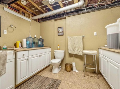103036 Rng Rd 161, Rural Taber, M.D. Of, AB - Indoor Photo Showing Bathroom