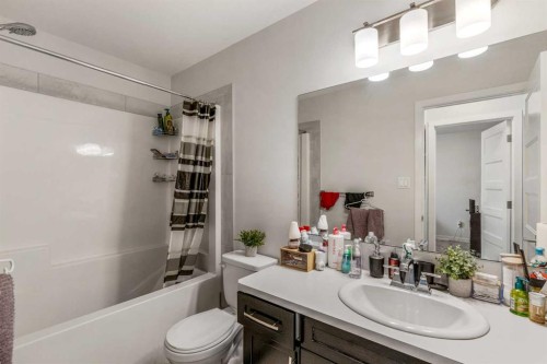 207 Moonlight Cove West, Lethbridge, AB - Indoor Photo Showing Bathroom