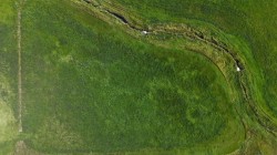 NW Corner (3+/- Acres) of-52067 RR 224  Magrath, AB T0K 1J0