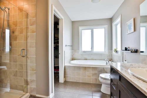 93 Riverine Lane West, Lethbridge, AB - Indoor Photo Showing Bathroom