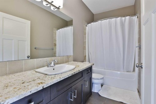 93 Riverine Lane West, Lethbridge, AB - Indoor Photo Showing Bathroom