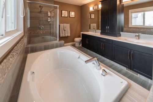 172 Firelight Way West, Lethbridge, AB - Indoor Photo Showing Bathroom