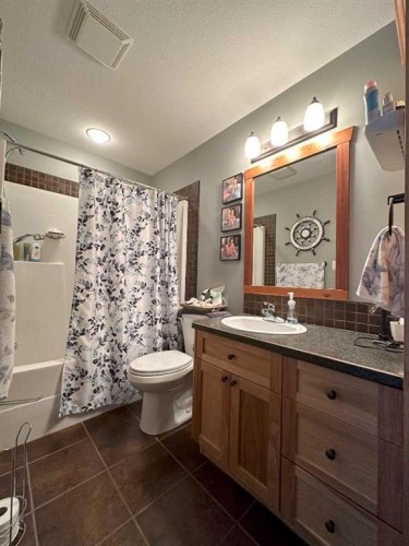 68 Ironstone Dr., Coleman, AB - Indoor Photo Showing Bathroom