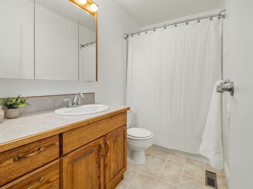 1102 Cameron Road South, Lethbridge, AB - Indoor Photo Showing Bathroom