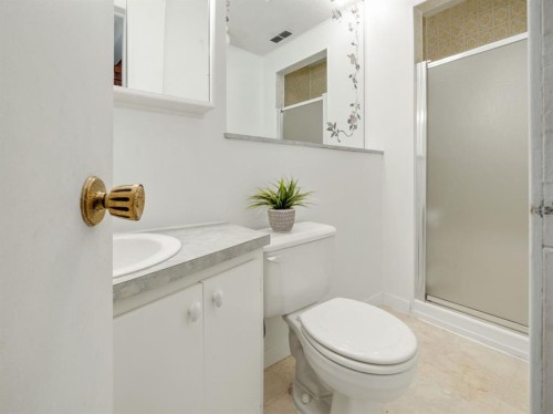1102 Cameron Road South, Lethbridge, AB - Indoor Photo Showing Bathroom