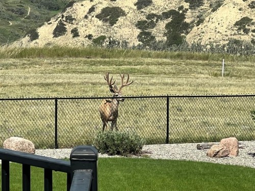 214 Sandstone Place South, Lethbridge, AB - Outdoor