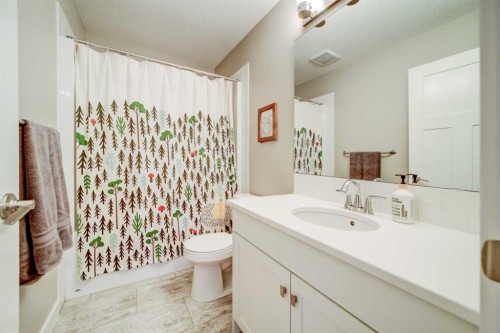 514 Devonia Road West, Lethbridge, AB - Indoor Photo Showing Bathroom