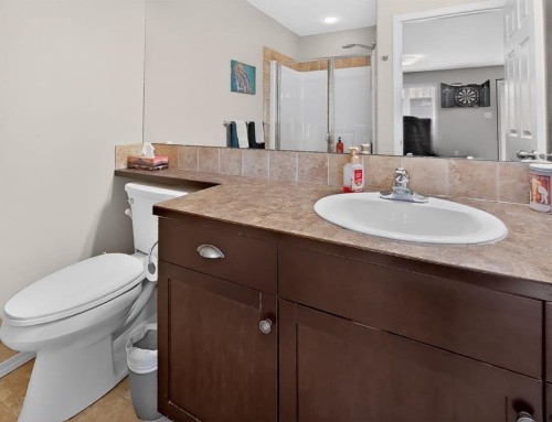 645 Silkstone Point West, Lethbridge, AB - Indoor Photo Showing Bathroom