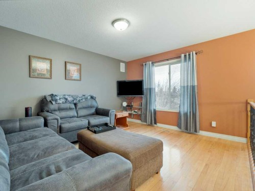 145 Canyon Close West, Lethbridge, AB - Indoor Photo Showing Living Room