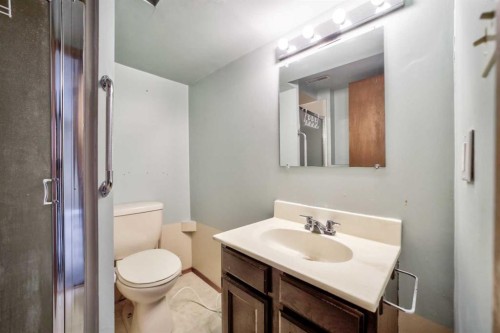 88 Cayuga Crescent West, Lethbridge, AB - Indoor Photo Showing Bathroom