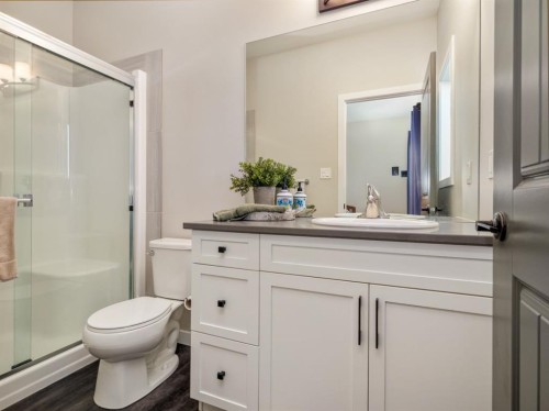 842 Greywolf Run North, Lethbridge, AB - Indoor Photo Showing Bathroom