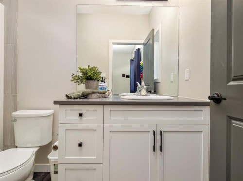 842 Greywolf Run North, Lethbridge, AB - Indoor Photo Showing Bathroom