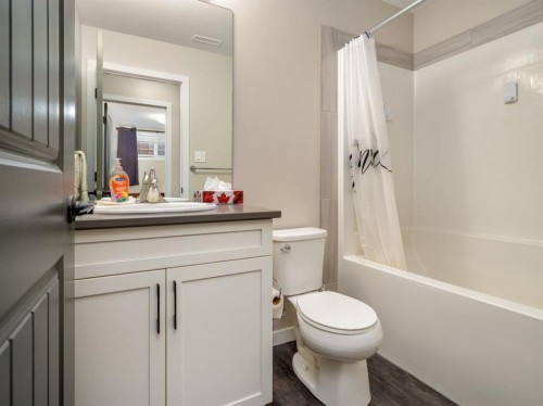 842 Greywolf Run North, Lethbridge, AB - Indoor Photo Showing Bathroom