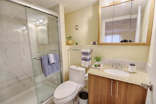 110 Ojibwa Road West, Lethbridge, AB - Indoor Photo Showing Bathroom