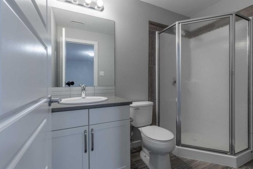 4-1202 Keystone Road West, Lethbridge, AB - Indoor Photo Showing Bathroom