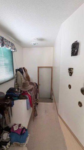 8029 Twp 102, Seven Persons, AB - Indoor