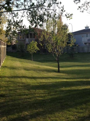 43 Chilcotin Way West, Lethbridge, AB - Outdoor