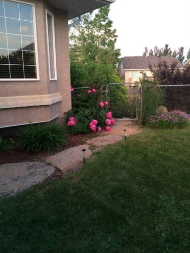 43 Chilcotin Way West, Lethbridge, AB - Outdoor