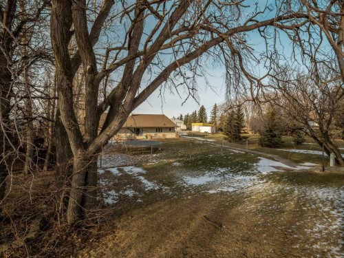 63004A 5 Highway, Welling, AB - Outdoor With View