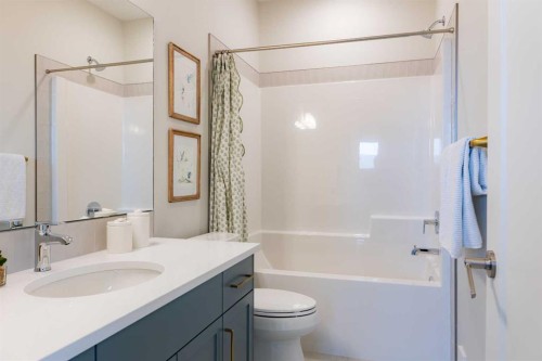 552 Riverhills Way West, Lethbridge, AB - Indoor Photo Showing Bathroom