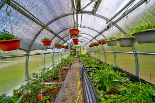 2616 Valley Ridge Drive, Frank, AB - Outdoor