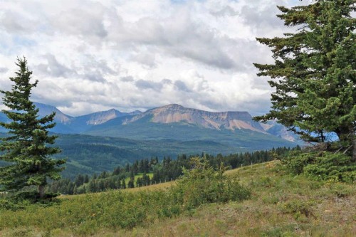 None Hwy 774, Beaver Mines, AB 