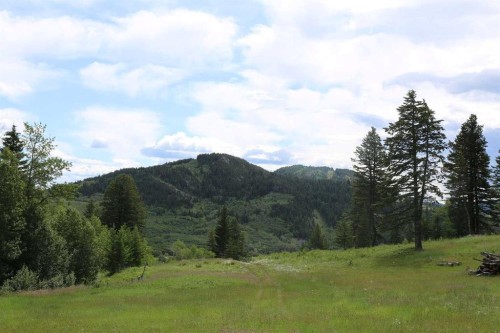 None Hwy 774, Beaver Mines, AB 